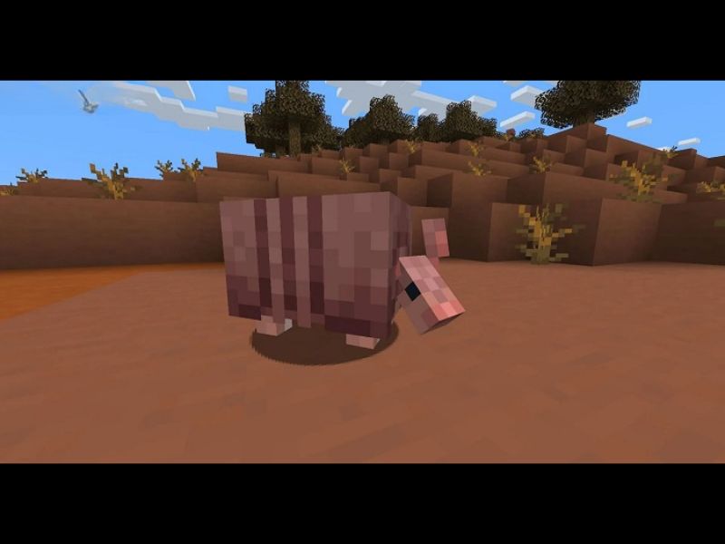 Armadillo Là Sinh Vật Mới Của Quần Xã Savanna trong Minecraft 1.21.0 APK