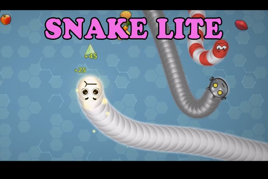Hack Snake Lite 1