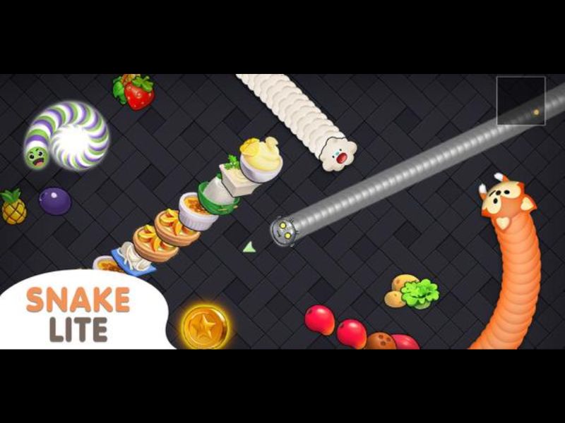 Nhiều loại đồ ăn khác nhau trong Hack Snake Lite
