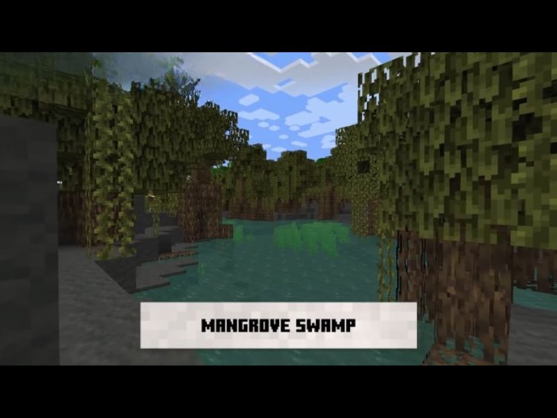 Rừng Ngập Mặn - Quần Xã Sinh Vật Hoàn Toàn Mới với Minecraft 1.19.2 Tiếng Việt