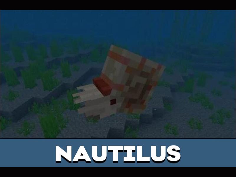 Nautilus trong Androidmentor Minecraft