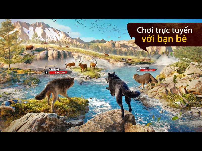 Đồng hành cùng người chơi khác trong Hack The Wolf