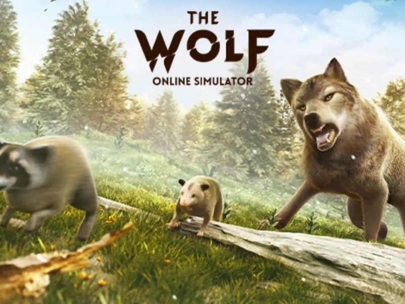 Bước Vào Cuộc Sống Của Sói Trong Hack The Wolf