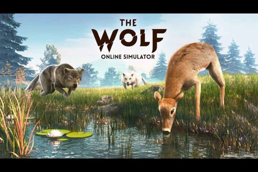 Hack The Wolf