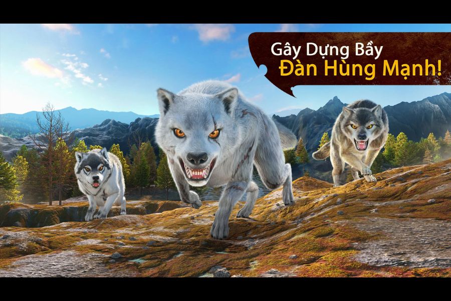 Hack The Wolf