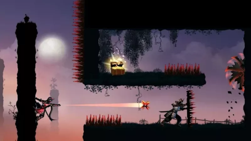 Ninja Warrior MOD APK