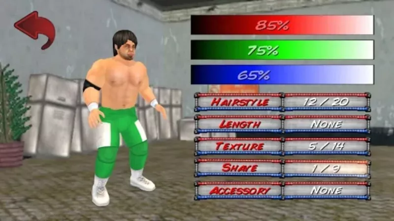 Các kiểu trận đấu trong Wrestling Revolution 3D